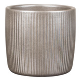 Obal 909 Magic Gold lesk 15 /VÁNOCE 2024/