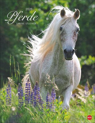 Pferde Classics Posterkalender 2026