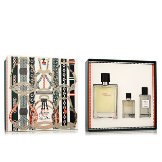 Hermès Terre D'Hermès EDT 100 ml + EDT 12,5 ml + AS 40 ml M