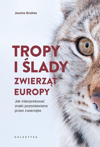 Tropy i ślady zwierząt Europy. Jak interpretować znaki pozostawiane przez zwierzęta