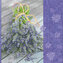 Ubrousky GOMAR L (20ks) Lavendula vera