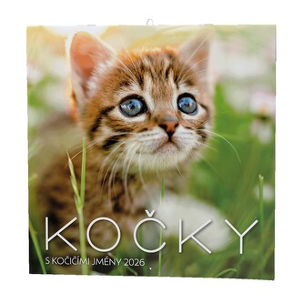 Baloušek Tisk - nástěnný poznámkový kalendář Kočky 2026, 28,5 × 28,5 cm