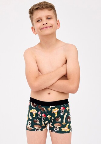 Bokserki Cornette Young Boy 700/143 Fungi 134-164 zielony 146-152