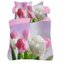POŚCIEL KPL. FLORI 3D WZ.002 220X200+2X70X80 BAW.