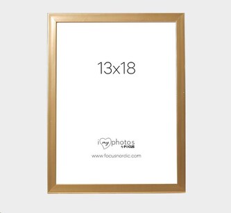 Focus Pop Gold 13x18 Focus Pop Gold 13x18