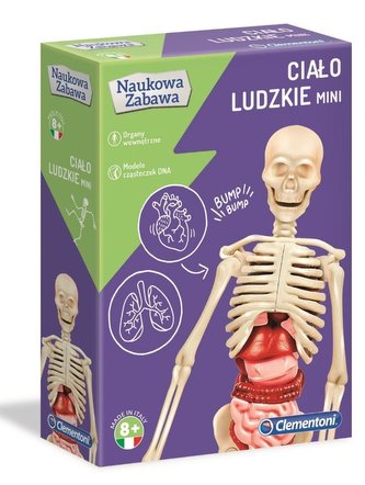 Mini ľudské telo