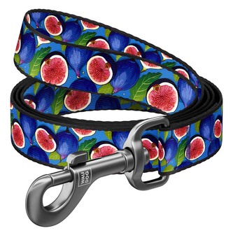 WAUDOG vodítko nylon Fíky (L-XXL/122cm/2,5cm)