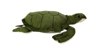 Korytnačka 45 cm