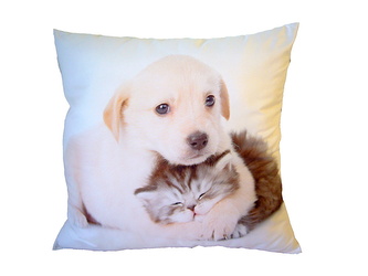 Dadka Fotopolštářek Pejsek objímající kotě 40x40 cm