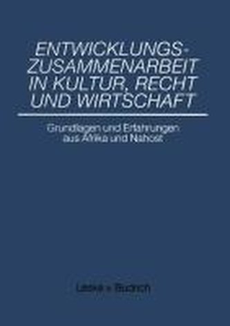 Entwicklungszusammenarbeit in Kultur, Recht und Wirtschaft