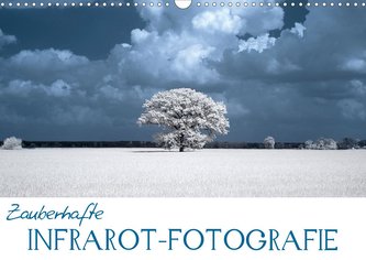 Zauberhafte Infrarot-Fotografie (Wandkalender 2021 DIN A3 quer)