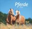 times&more Pferde Bildkalender 2026