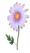 Kovový zápich Gerbera 80 cm C