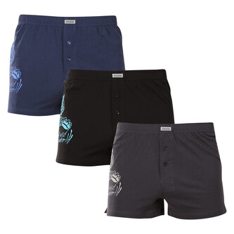 3PACK pánské trenky Andrie vícebarevné (PS 5852) XL