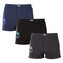 3PACK pánské trenky Andrie vícebarevné (PS 5852) XL