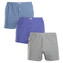 3PACK pánské trenky Andrie vícebarevné (PS 5820) XL