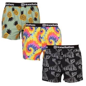 3PACK pánské trenky Horsefeathers Frazier (AM166BCD) L