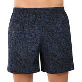 Pánské domácí trenky s kapsami Styx Jáchym (D1851) S