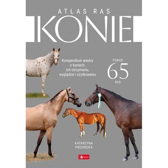Konie Atlas ras