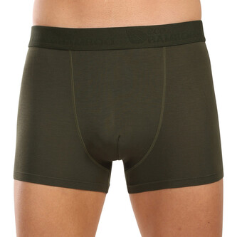 Pánské boxerky Gino zelené (73126) M Pánské boxerky Gino zelené (73126) M