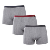 3PACK pánské boxerky Andrie šedé (PS 5702) XL