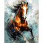 Malowanie po numerach - Szybki koń 40x50cm