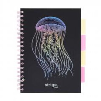 Kołozeszyt Pads B5/100K kratka Głębiny Meduza