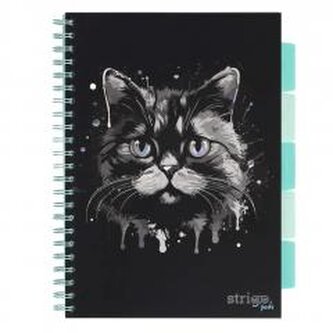 Kołozeszyt Pads A4/100K kratka Kot