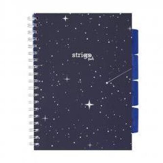 Kołozeszyt Pads B5/100K kratka Kosmos