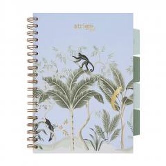 Kołozeszyt Pads B5/100K kratka Afryka pastel nieb