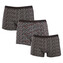 3PACK pánské boxerky Andrie vícebarevné (PS 5800) 3XL