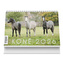 Koně 2026 - stolní kalendář