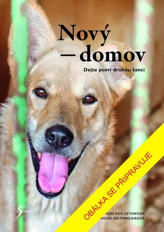 Nový domov: Dejte psovi druhou šanci