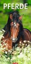 Pferde Kalender 2026