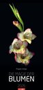 Die Magie der Blumen Kalender 2026