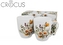 Sada 2ks porcelánových hrnků DAISY, 360 ml
