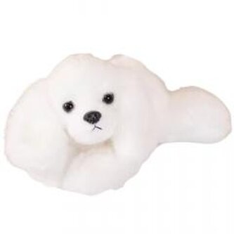 Maskotka Maltańczyk biały 30cm