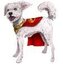 Superman Film: Interaktywny Krypto