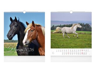 kalendář 2026 nástěnný malý Horses 1061636