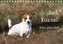 Jack Russell  - Klein, aber oho! (Tischkalender 2020 DIN A5 quer)
