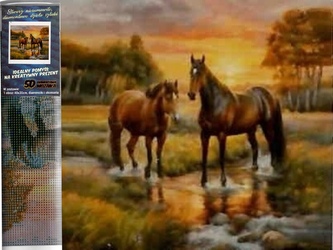 Diamantové malování 30x40cm koně v potoce