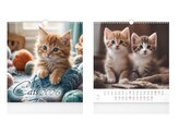 kalendář 2026 nástěnný malý Cats 1061634