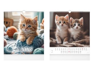 kalendář 2026 nástěnný malý Cats 1061634