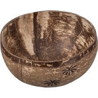 Kokosová miska s palmou