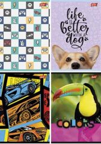 Zeszyt A4/32K linia podwójna dwukolor mix (15szt)