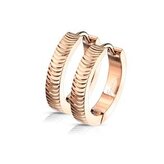 OPN1635-RD Zlacené ocelové náušnice s vroubky