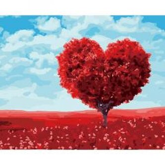 Malowanie po numerach 40x50cm Serce