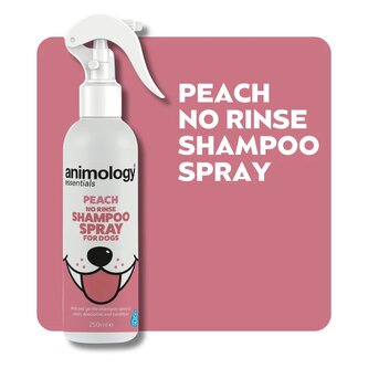Animology Essentials Bezoplachový šampon pro psy ve spreji s broskvovou vůní 250ml Animology Essentials Bezoplachový šampon pro psy ve spreji s broskvovou vůní 250ml
