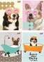 Zeszyt A5/60K linia Funny Dog (10szt)
