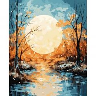 Malowanie po numerach 40x50cm Księżyc